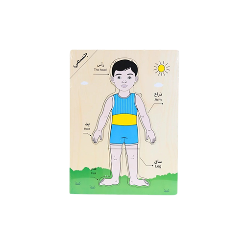 2512019.png Body Parts Puzzle - Boy