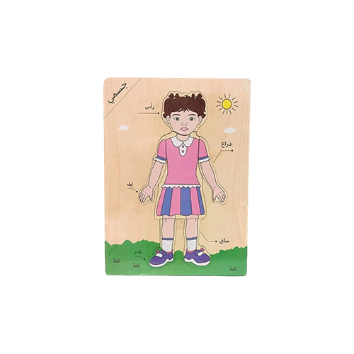 2512020.png Body Parts Puzzle - Girl