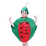 Fancy Dress - Watermelon